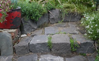 Landscaping with bluestones