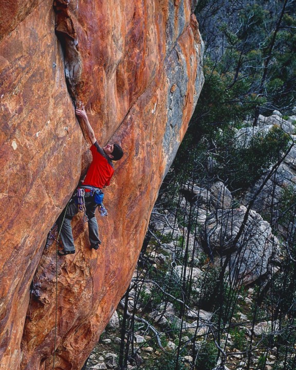 Highly Evolved, 26, Grampians. Pic: Jimmy Stephens
