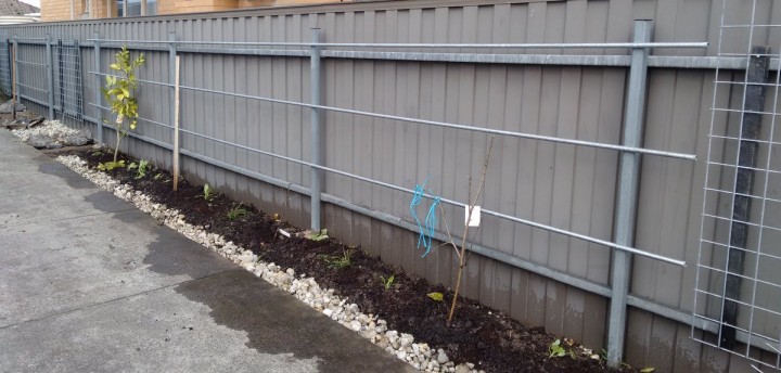 Also taken on some actual small scale implementation work, this espalier frame I've just completed for a couple in Bell Park.